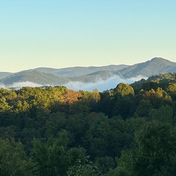 Meet your Posher, Jennifer - Picture 1 of 1